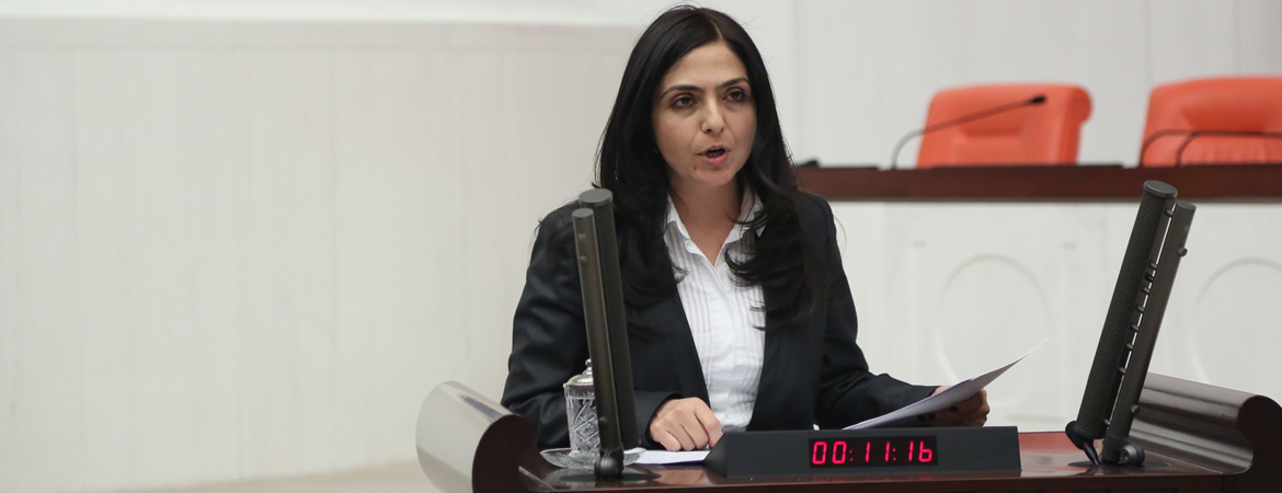 Ertan: HDP "hayır" demeye 7 Haziran öncesinde başladı