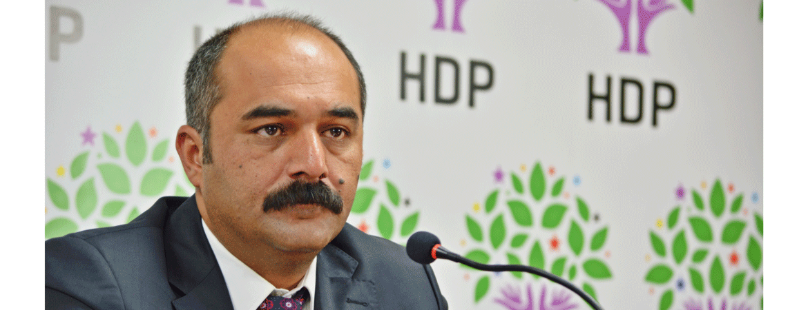 Berdan Öztürk: Tek yol tam demokratikleşme