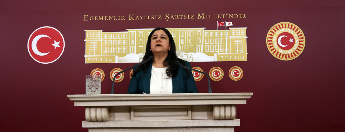 Çağlar Demirel: HDPli danışmanların gözaltına alınması post modern parti kapatmanın son halkasıdır