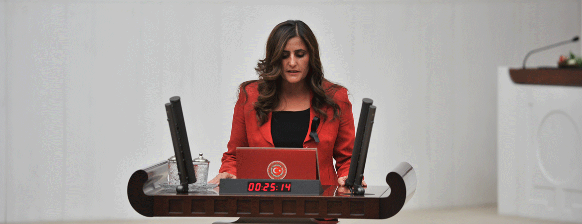 Dilan Dirayet Taşdemir: Darbeyle mücadele, geçmişle hesaplaşarak olur