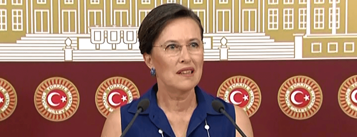 Kerestecioğlu: Türkiye’yi kınayan uluslararası raporları görmezden mi geleceksiniz?