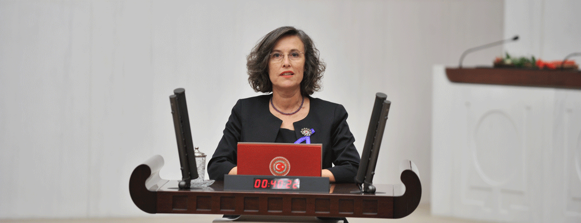 Kerestecioğlu: TÜBİTAKı TÜBİT-AK yapmaya çalışıyorsunuz