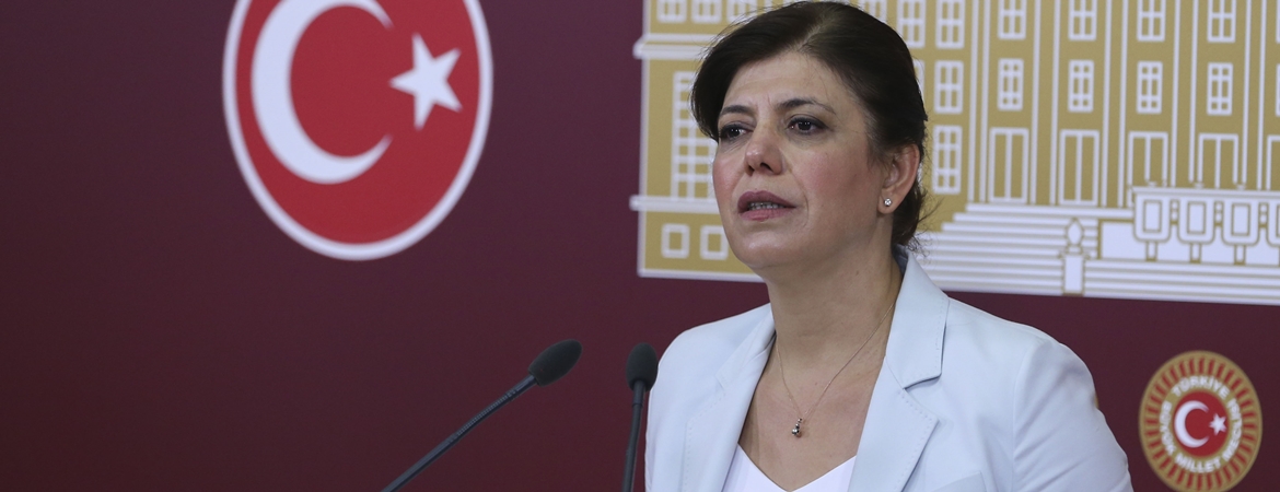 Meral Danış Beştaş: "Milli mutabakat" 15 Temmuzdan önce de vardı