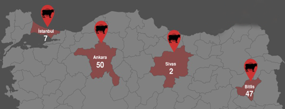 Şarbon skandalının siyasi sorumlusu iktidardır