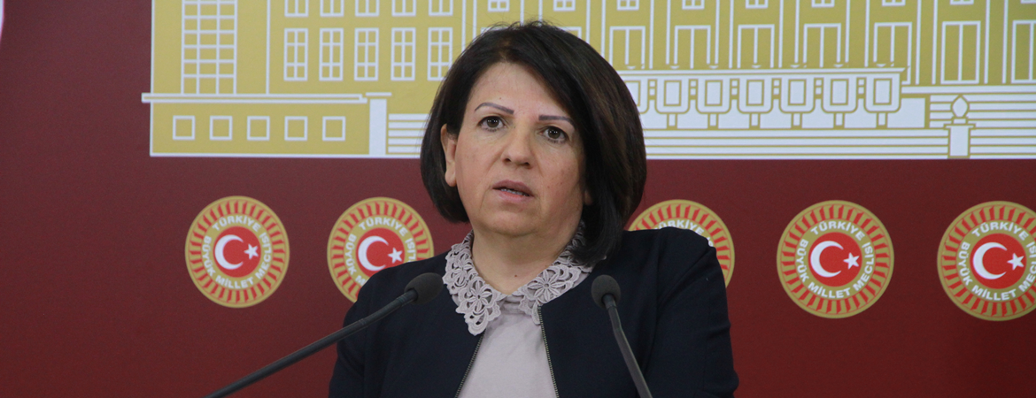 Kurtulan: Türkiye, ABD heyetleri yerine Kürtlerle görüşerek Suriyedeki çözüme katkı sunsun