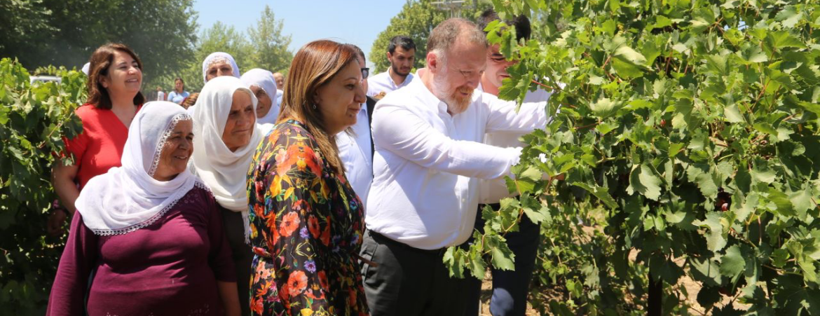 Temelli: Müteahhitlerin borçları bir kalemde siliniyor, çiftçinin borcu memleketin birinci sorunu haline getiriliyor