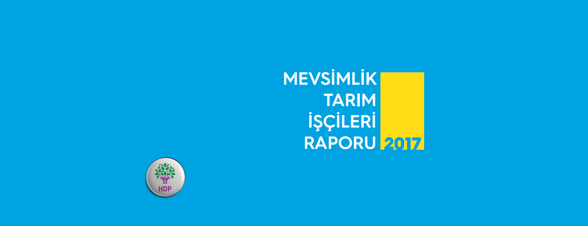 Mevsimlik Tarım İşçileri Raporumuz