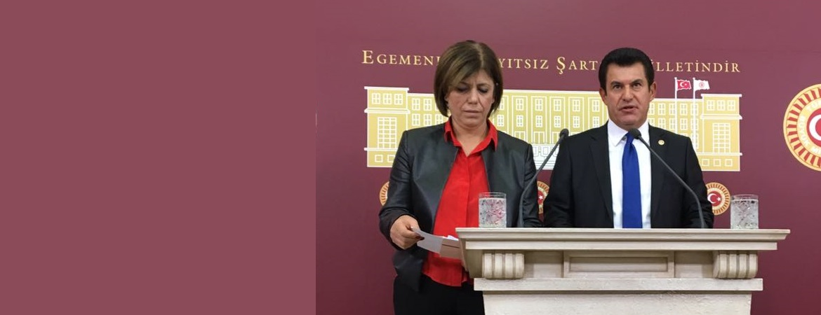 Muğlaya giden heyetimiz: Köyceğizde yargısız infaz ve işkence iddialarına ilişkin resmi açıklama yapılmak zorunda