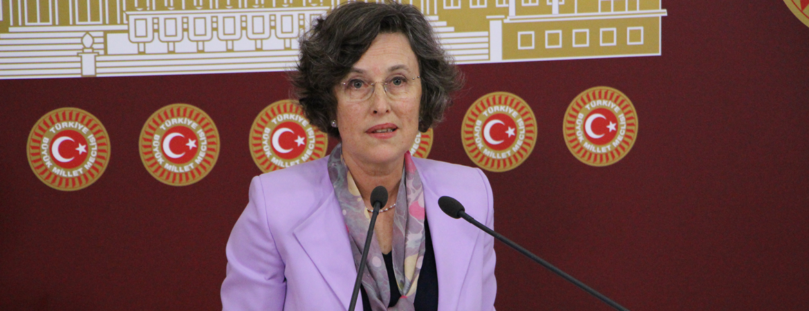 Kerestecioğlu: Vatan hainliğiyle suçladığınız bizler bu ülkeyi deli gibi seviyoruz