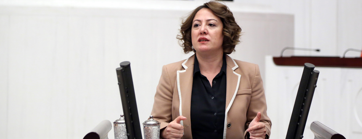 Irgat: YSK tasarısını tartışmadan önce OHAL ceberutundan kurtulmalıyız