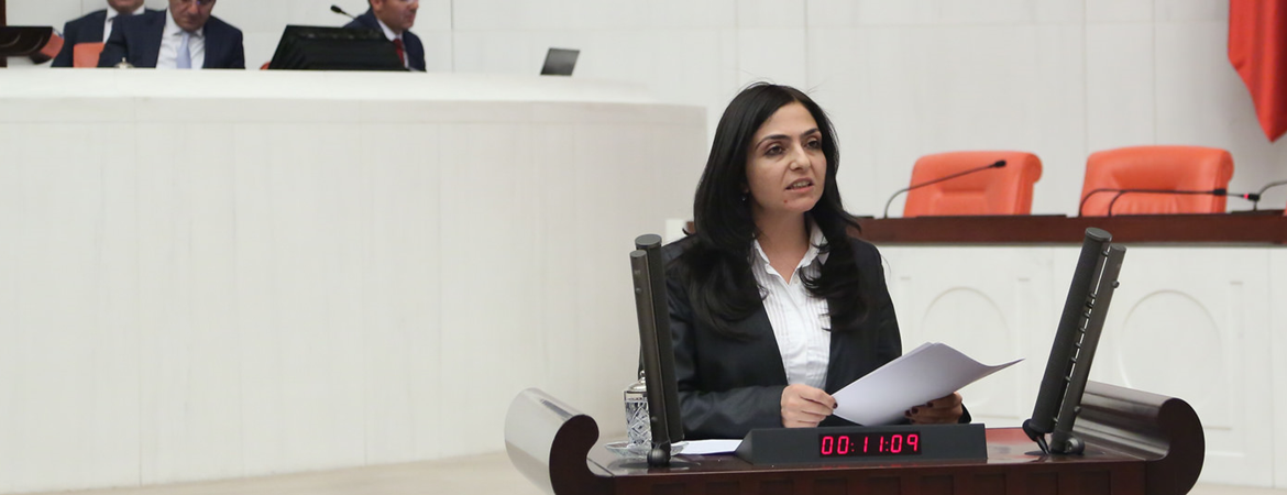 Ertan: Toplumsal cinsiyet duyarlı bütçeler tercih değil gereklilik