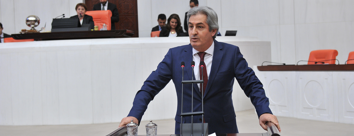 Lezgin Botan: Srebrenitsa, Arakan ve Gazze ne ise bugün Afrin de odur