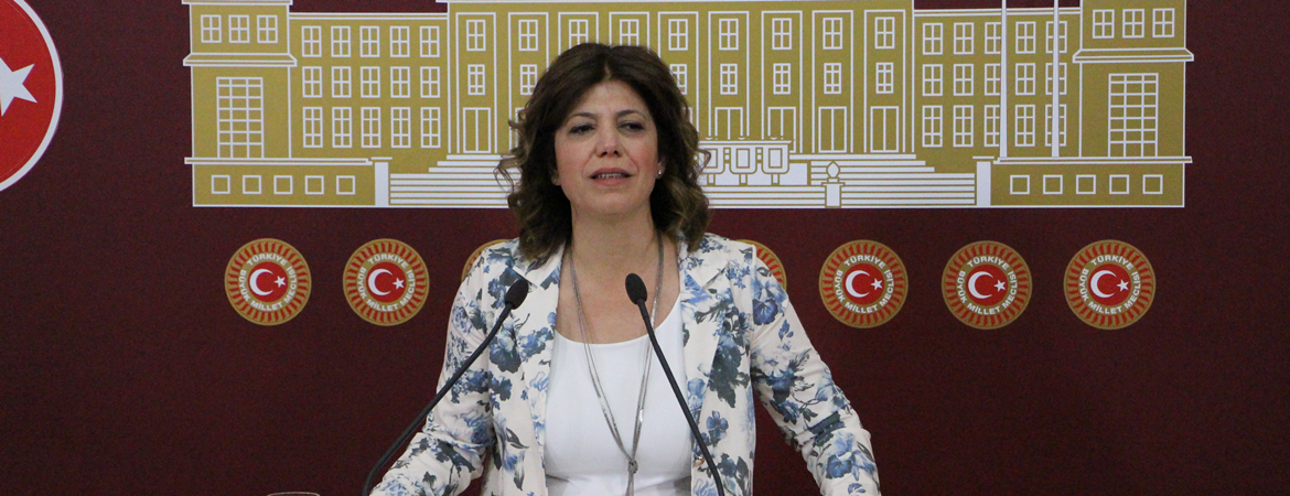 Meral Danış Beştaş: 24 Haziran’da yeni bir gün doğacak, bahar gelecek