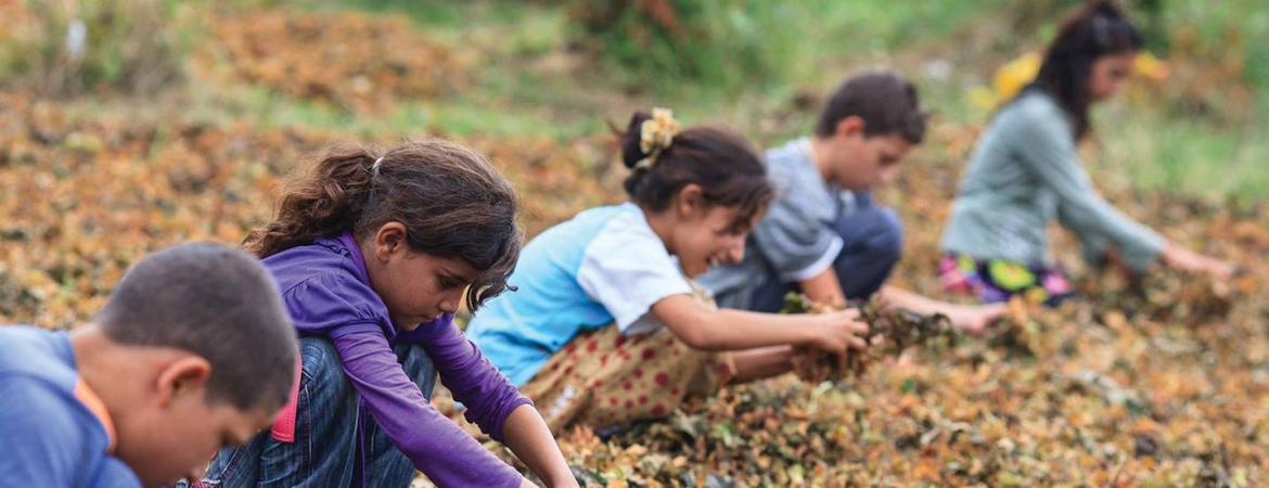 Çocuk işçiliği yasaklanmalı, çocukların yeri okullar olmalı