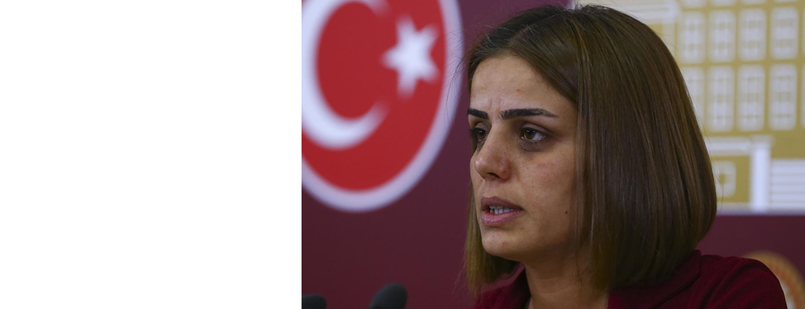 Ayşe Acar Başaran: Bütçe görüşmelerinde vekiller eliyle lince uğruyorum