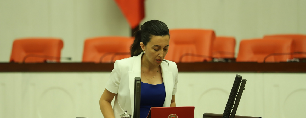 Ebru Günay: Her iktidar günü geldiğinde kendi çıkardığı anti demokratik yasalarla yargılanır
