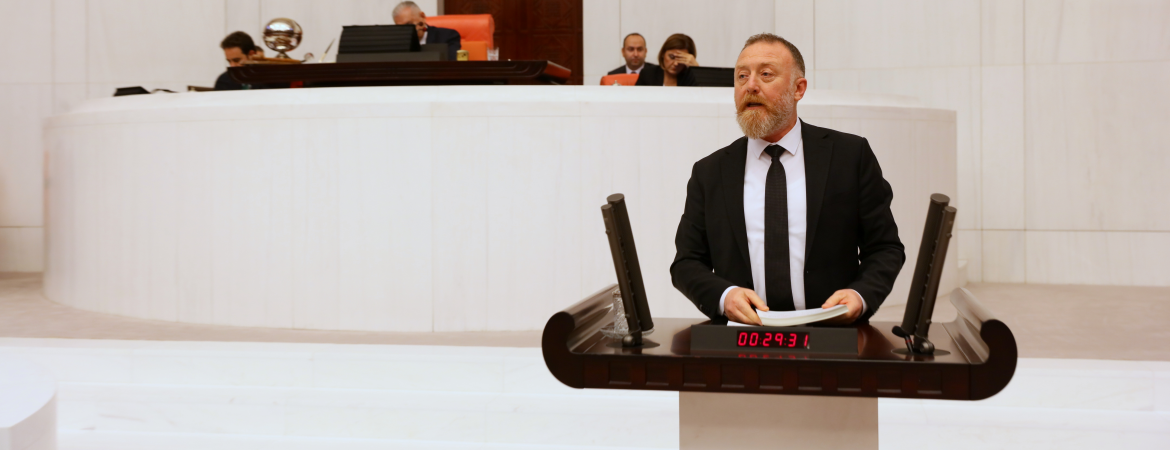 Temellinin 2019 bütçe kanun teklifi üzerine yaptığı konuşma