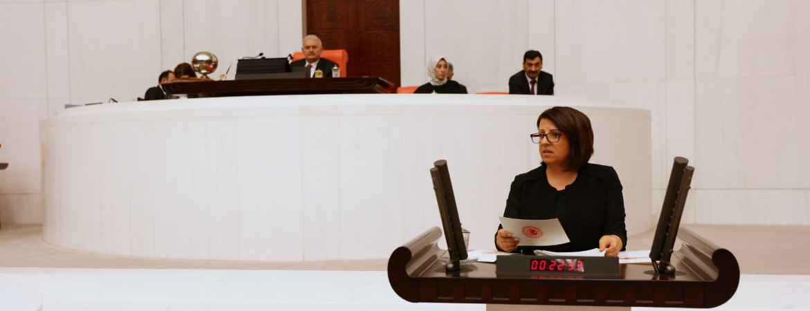 Kurtulan: Halktan aldığımız irade ile bu bütçe kanun teklifini reddediyoruz