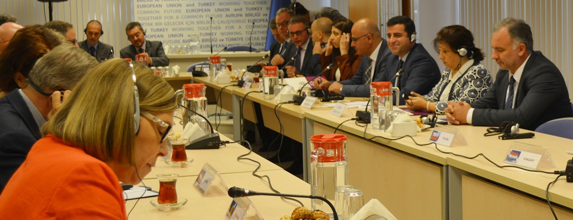 AB Türkiye delegasyonuyla görüşme