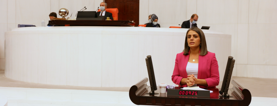 Başaran: Kadınlar toplumsal cinsiyete duyarlı bütçe istiyor