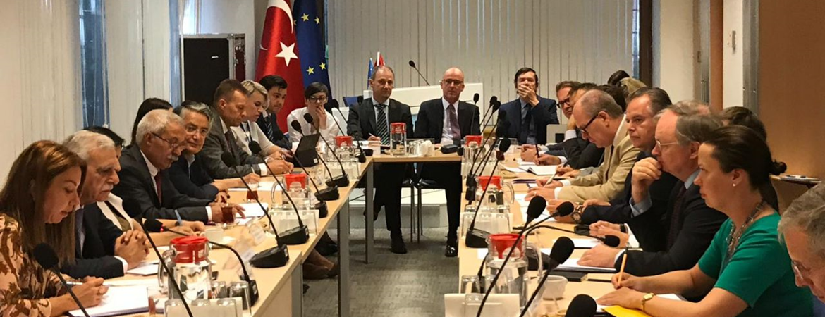 AB Türkiye Delegasyonu ile Kayyım Darbesine ilişkin görüşme