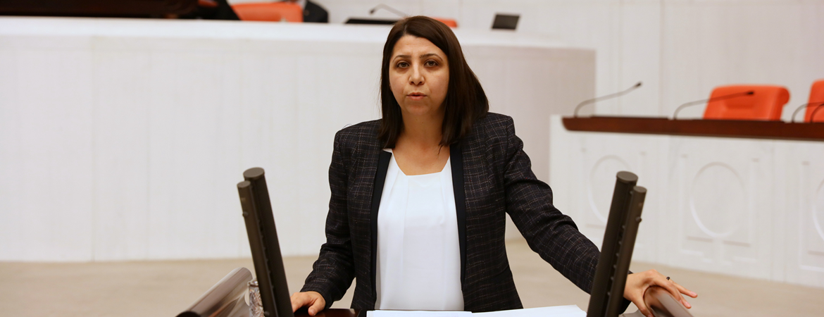 İrmez: Afrin’e yapılan saldırılarda yaralanan ve yaşamını yitiren siviller konusunda hükümet olarak bir açıklama yapacak mısınız?