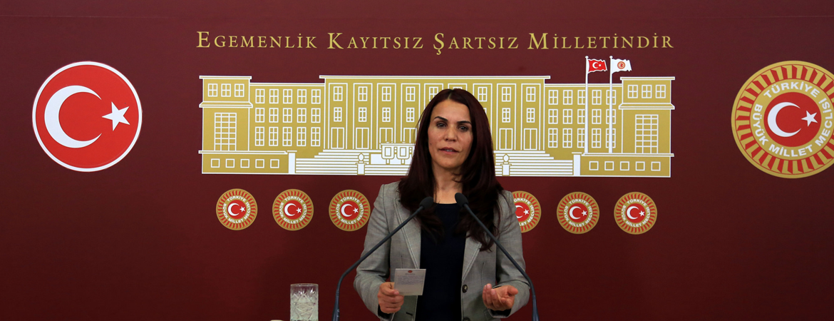 Siirtteki zehirlenme olayına ilişkin soru önergemiz