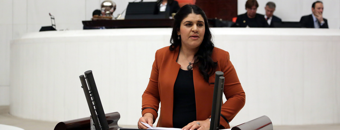Sayın Öcalana uygulanan mutlak tecrit ile sağlık ve güvenlik koşullarına ilişkin önergemiz