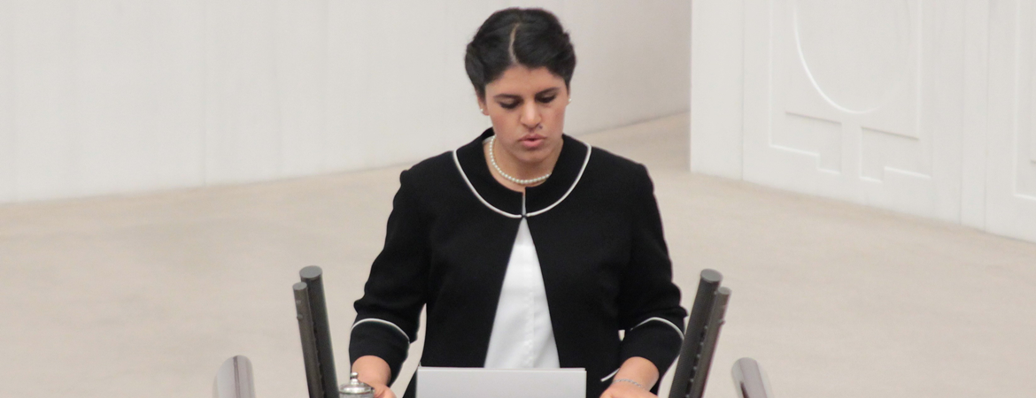 Dilek Öcalan: Bu bütçede kadın yok