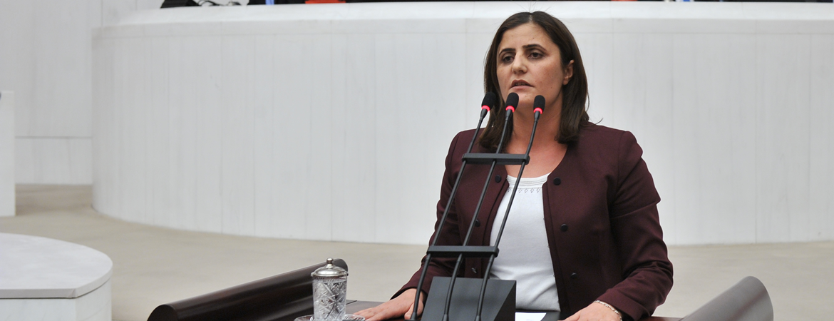 Taşdemir: Yıllarca vaatlerini cebine koyan AKP, Ağrı Belediyesini kaybettiği için kayyum atadı
