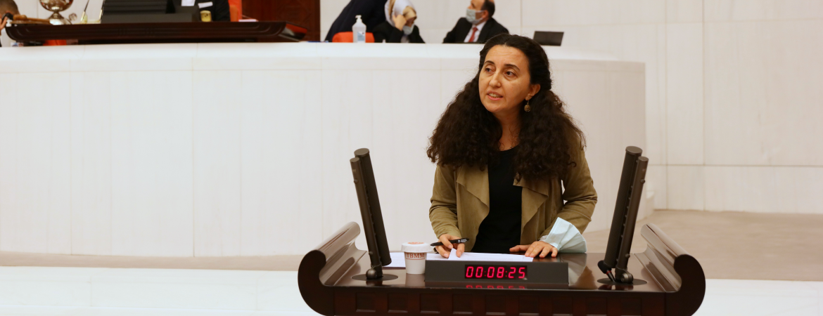 Günay: İmralı tecridi önkoşulsuz kaldırılmalı, cezaevlerindeki hak ihlallerine derhal son verilmelidir