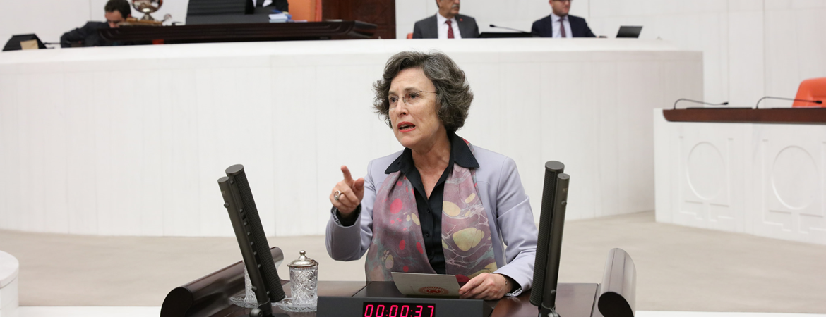Kerestecioğlu, bir anaokulunda çocuklara oynatılan cinsiyetçi oyunu Milli Eğitim Bakanına sordu