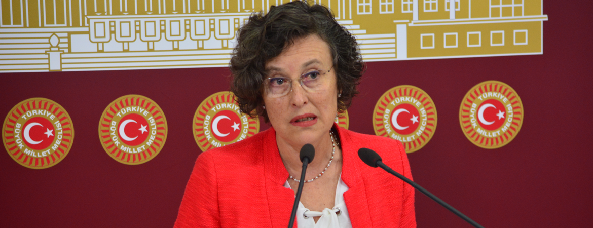 Kerestecioğlu: Ceylanpınar için söylediklerimizi Afrin için de söylüyoruz