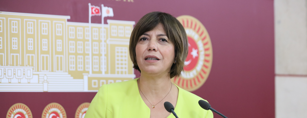 Beştaş: İnkar siyaseti yürütenler unutulacak ama Kürt sorunu çözülecek