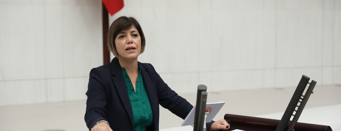 Beştaş: Bu kötülük düzenini hep birlikte demokrasi ittifakı ile değiştireceğiz