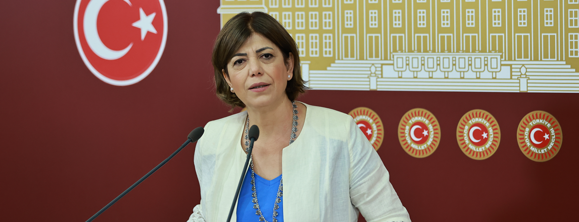 Beştaş: Sadece genel görüşmeyle sağlık emekçilerinin sorunları çözülemez