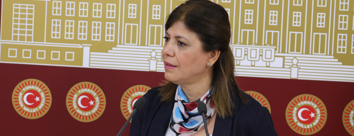 Meral Danış Beştaş: Bu infaz paketi toplu katliama imza atmaktır