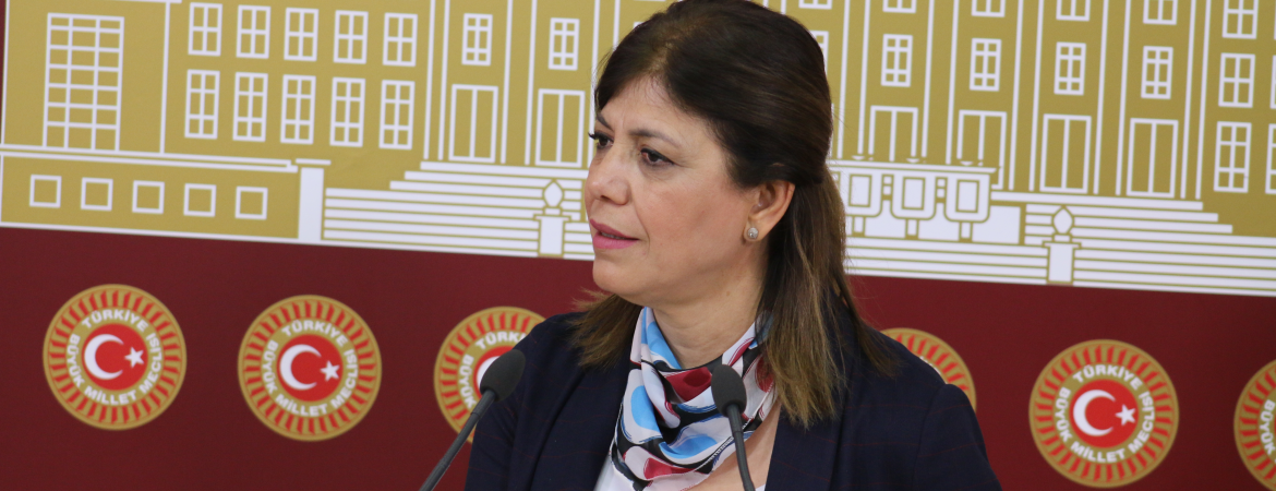 Meral Danış Beştaş: Bu infaz paketi toplu katliama imza atmaktır