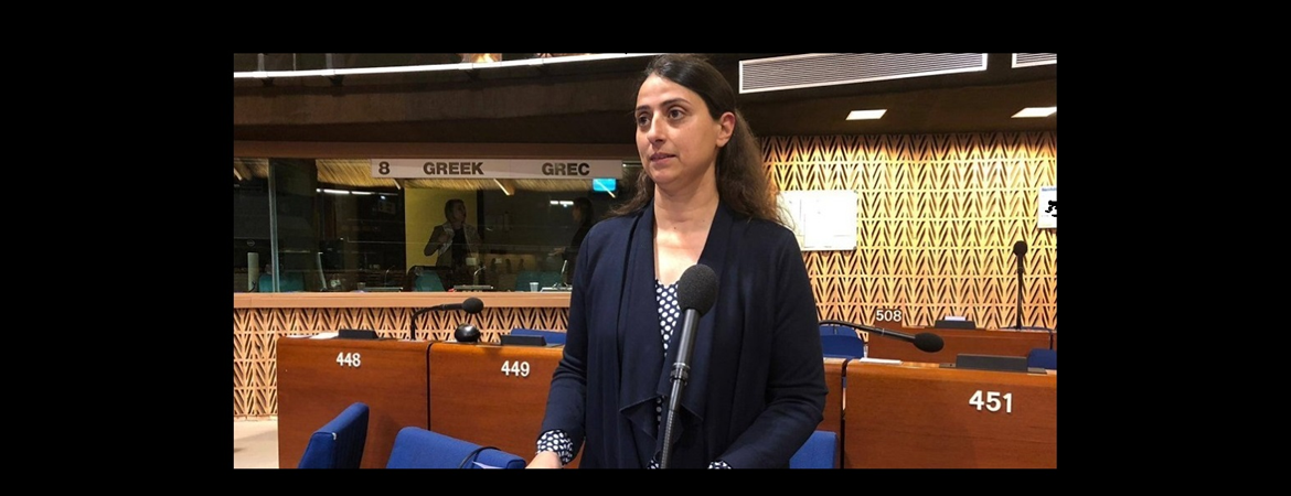 Feleknas Uca: İstanbul Sözleşmesi’ni uygulama misyonunu biz üstlenmek istiyoruz