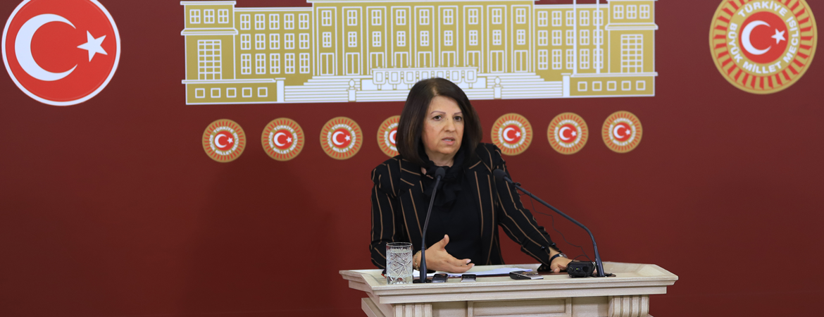 Kurtulan: Meclis Ahlatta yapılacak sarayı gündemine alacağına deprem ve çığ konusunda bir komisyon kurmalıdır