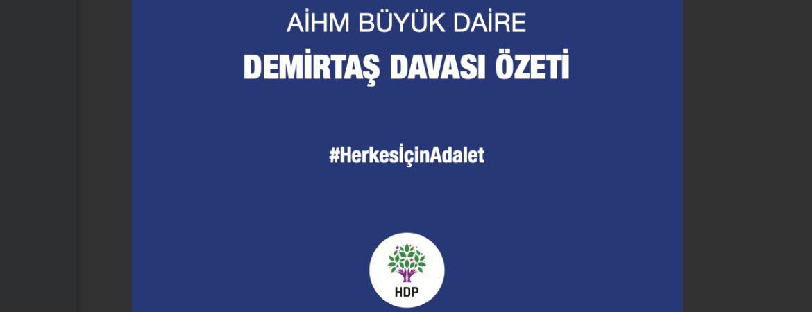 AİHM Demirtaş Kararı Özet Kitapçığı