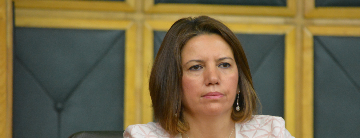 Selma Irmak: 3 milletvekili de tutuklu olan Hakkari halkının iradesi cezaevindedir