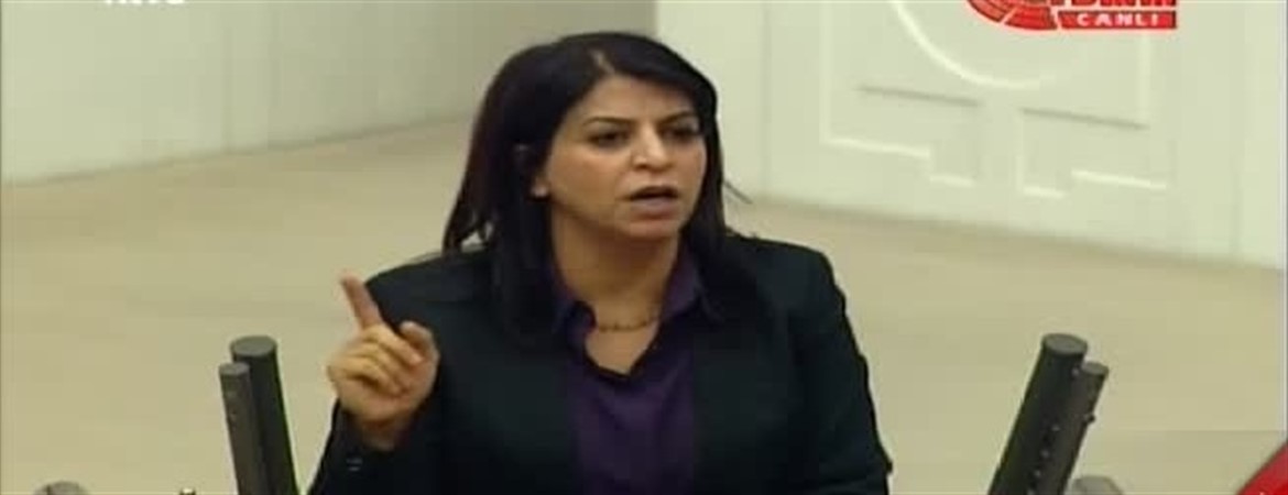 Sibel Yiğitalp: Meclisin bombalanması Surun bombalanmasının tezahürü