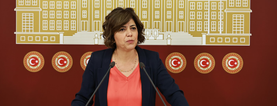 Beştaş: İktidarın talimatıyla Meclis üzerinde yargı ve polis vesayeti oluşturuluyor