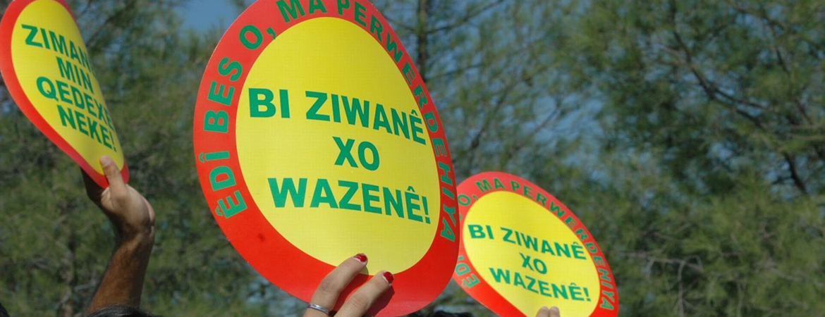 21ê Sibate Roja Ziwanê Dayîke ya Cîhanî de seba heme ziwananê dayîke edalet!