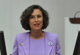 Filiz Kerestecioğlu: Bu savaş ortamında Meclis, sermayeye sermaye katmayı tartışıyor