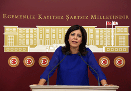 Baluken Meclis kürsüsündeydi