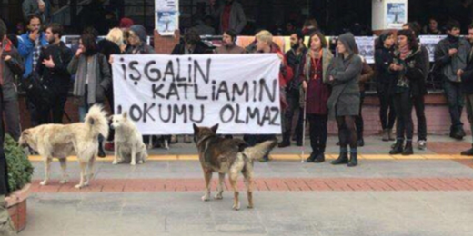 Üniversite biat etmez!