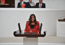 Dilan Dirayet Taşdemir: Darbeyle mücadele, geçmişle hesaplaşarak olur