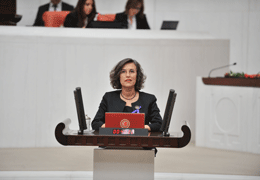 Filiz Kerestecioğlu: Cinsel suçlar kadınların özgürleşmesiyle önlenebilir